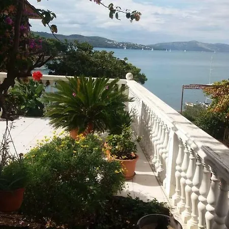 Danica Trogir